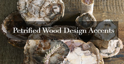 Petrified Wood Accents for Your Interior Design